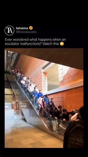 tahséma on Instagram: "Ever wondered what happens when an escalator malfunctions? Watch this 😳 Follow @brainelevates for more Exclusives"