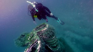 Underwater art sculptures breeding new life off Florida panhandle