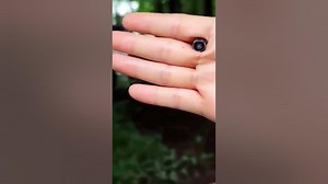 Exploring the Power of Miniature Tech: Camera and Speaker ComboMiniTechReview CameraSpeakerCombo