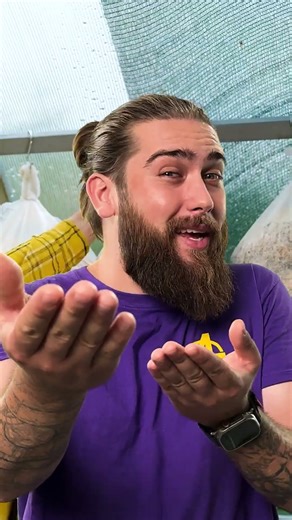 HOME GROWING HACKS TURN YOUR HOUSE INTO A MINI JUNGLE 🤯🌿