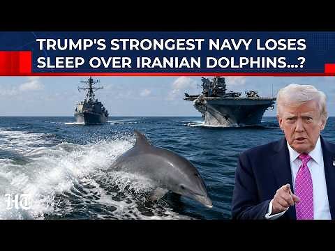 US Forces in Hormuz Now Terrified of Iranian Dolphins: Trump’s Navy Vs. Kamikaze Flipper Begins?