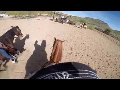 4 Steps for Training a Horse for Mounted Shooting