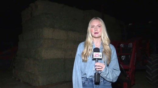 Unusual weather patterns disrupt Central Texas hay market