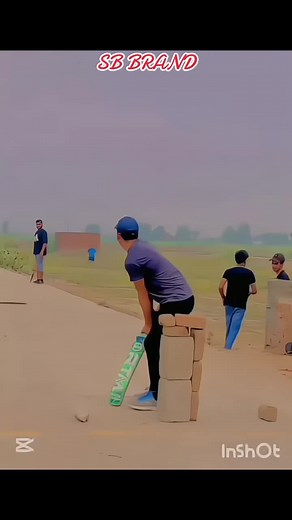 Best Short Cricket Songs to Celebrate Your Love
