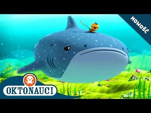Oktonauci - i rekin wielorybi 🐋🦈 | Cały odcinek 10 | Seria 1