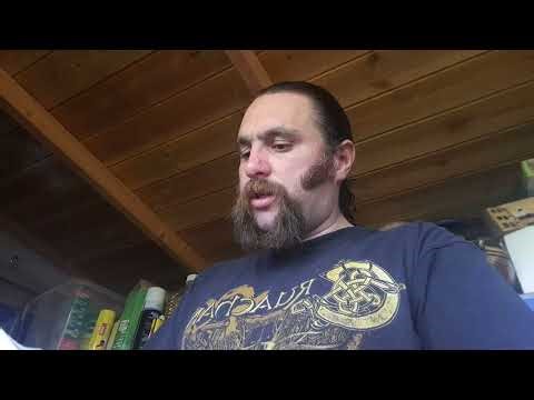 Daily Jung #206 - Aion - 10. The Fish in Alchemy