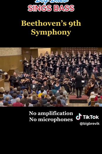 #beethoven #bass #basstok #soloist #basssolo #bassesoftiktok #opera #operatok #symphony #voice #bigbrev #bigbrevsingsbass #bigbrevik #fyp