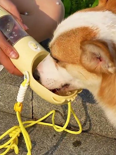 pet728 大容量 ペットウォーターボトル ワンタッチ給水 犬 水飲み器 えさ入れ 水とフード一体型 携帯用