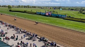 HERCHEE earned a career-best 112 Equibase Speed Figure for his 3 length win in an ALW race at Keeneland yesterday for trainer Helen Pitts with Edgar Morales aboard! The 4yo son of Twirling Candy went 1 1/16 miles on the turf in 1:40.35, just 1.33 seconds off the track record set by Rushing Fall in 2020 🏇💨 Check out his horse profile: https://equibase.com/profiles/Results.cfm?type=Horse&refno=10993238&registry=T&rbt=TB | Equibase Company