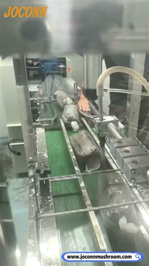 automatic liquid culture inoculation machine#mushroom #liquidculture #inoculation #mushroommachine
