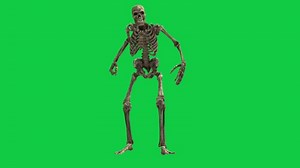 Download Skeleton walking front side view 3d animation loop isolated on green screen background for free
