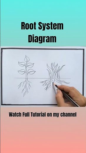 Root System Diagram Easy | How to Draw Tap Root and Fibrous Root step by step | Types of Roots