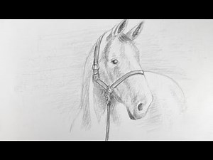 COMMENT DESSINER UN CHEVAL AU CRAYON FACILEMENT