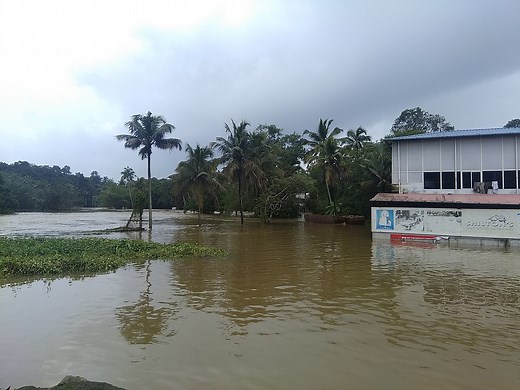 Kerala flood case study