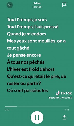 Spotify lyrics sur TikTok