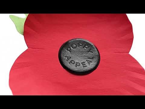 New Plastic-Free Poppy | Made from 100% Paper and Easily Recycled ♻️