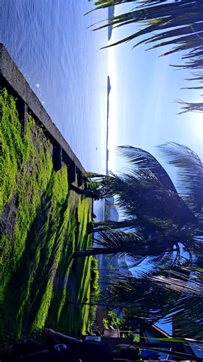 MARINGE LODGE, ISABEL PROVINCE 🇸🇧🇸🇧