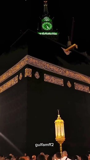 peace 🕋❤️ #cricket #cat