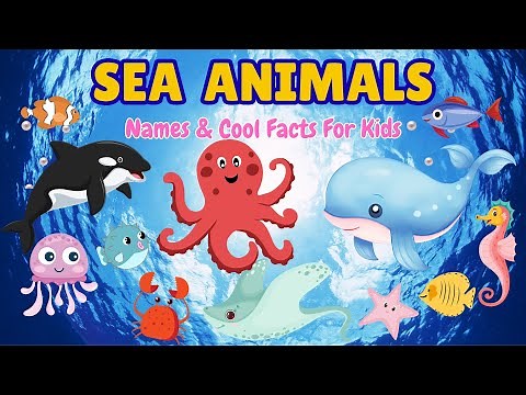 All About Sea Animals! The Ultimate Learning Video for Kids and Toddlers! 🐠💙 | Names & Fun Facts