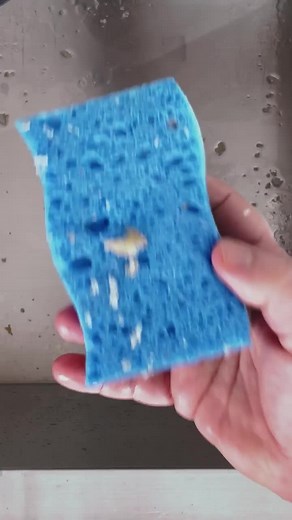 Do you need a sponge holder? A device that keeps kitchen sponges handy—and off the sink bottom—means easier, safer cleanup every day. Lisa breaks down our testing behind this tool. Link in bio for our favorite holder. #sponge #howto #reviews #kitchenhacks #spongeholder