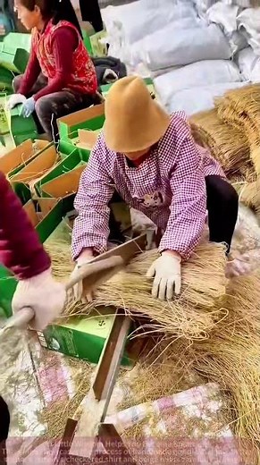 Traditional Noodle Making: From Wheat Straws to Pasta, Heritage Craftsmanship