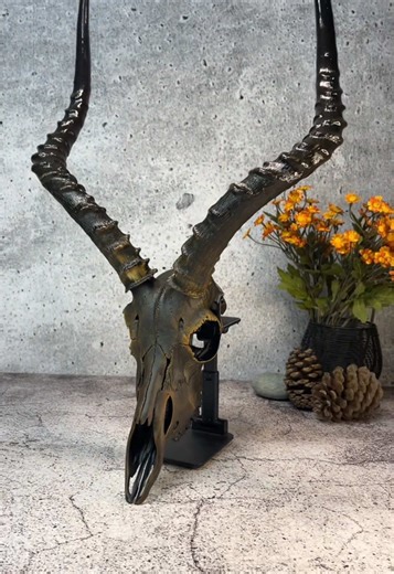 Impala Skull Decoration Art: Creative Acrylic Design