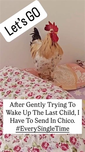 Best alarm clock for kids. 😂