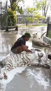 Kerja saya merbahaya pakcikk 🫣😁 | Araaz Media Network