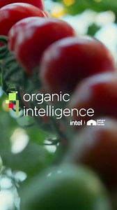 2.8K views | 인텔 #AI 최적화된 #OpenVINO를 활용한 @DellTech가 어떻게 @Nature_Fresh Farms의 수확량은 늘리고 폐기물은 줄이는지에 대해 알아보세요! 復凌凜 #인텔 #intel #AI #OpenVINO | Intel | Facebook