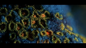 4.8K views · 149 reactions | Thank you to our partners ENERGY...