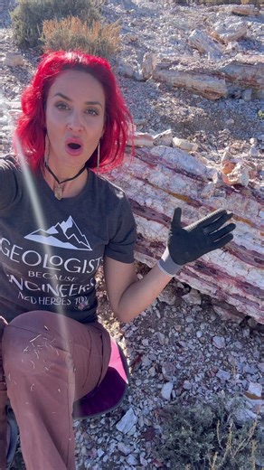 I love big colored boulders. This is from gemFields, Nevada, I loved my trip there. #Geology #Color #Quartz #Rockhound #Rock #Minerals #Crystal #Geologist #Fun #Trip #Adventure #Nevada | Elley Knows Rocks