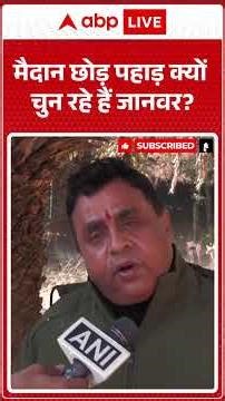 मैदान छोड़ पहाड़ क्यों चुन रहे हैं जानवर? |ABPLIVE