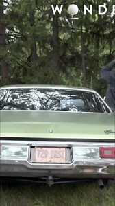 15K views · 189 reactions | After the crash of United Airlines Flight 173, NTSB investigators are on the scene to figure out what happened. The plane crashed 10 kilometers short of the airport on a calm, clear night. Investigators hope survivors can provide some insight into what brought this jet down. #Flight173 #aviation #ntsb #planecrash #investigation | The Wonder Channel | Facebook