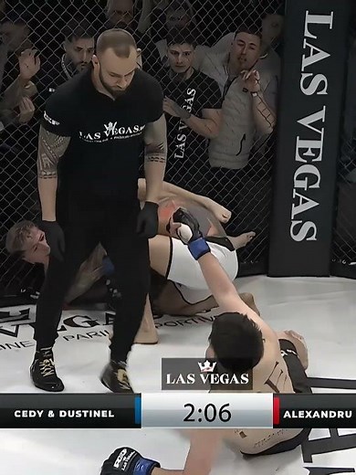 You Don’t Want To Mess With The Referee! #ufc