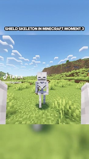Epic Shield Skeleton Meme Moments in Minecraft