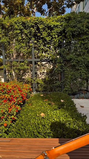 In Bloom💐 #nirvana #guitar #acousticguitar #guitargirl #explore | Prestyn Smith