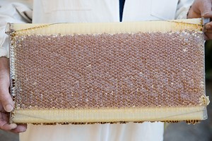 What are Flow Frames?