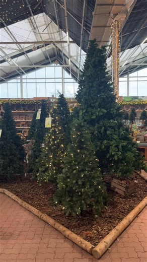 𝐉𝐮𝐥 │ Se vores udstillinger med kunstige juletræer i din nærmeste Plantorama og online på https://brnw.ch/21wY12h: https://brnw.ch/21wY12g 🎄 | Plantorama