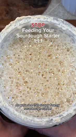 Sourdough Starter Feeding Ratios & Rise Times (link in bio for our LIVE sourdough starter🍞) (Starter : Flour : Water | peak rise) 1:1:1 — New starter / reactivation • 68–70°F: 5–7 hrs • 72–74°F: 4–6 hrs • 76–78°F: 3–4 hrs 1:3:2 — Strong daily starter • 68–70°F: 6–9 hrs • 72–74°F: 5–7 hrs • 76–78°F: 4–5 hrs 1:4:3 — Maintenance / cleaner rise • 68–70°F: 8–11 hrs • 72–74°F: 6–9 hrs • 76–78°F: 5–7 hrs 1:5:4 — Longer fermentation • 68–70°F: 10–14 hrs • 72–74°F: 8–11 hrs • 76–78°F: 6–9 hrs 1:8:7 — In