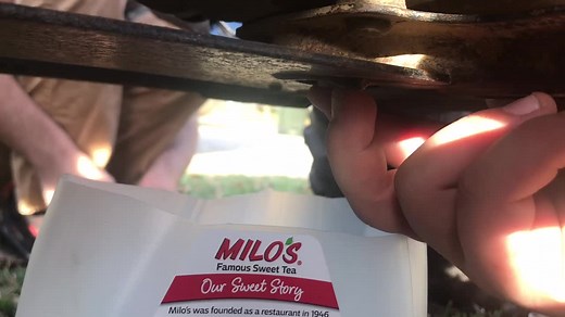 Exploring the Best Four-Wheelers and ATVs: Honda, Can-Am, Polaris, and More!