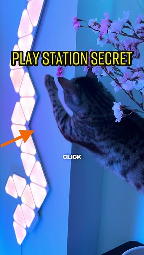 Unlock PlayStation Secret Browser for Gaming and Watching Videos