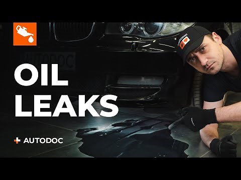 5 most common causes of oil leaks | AUTODOC tips
