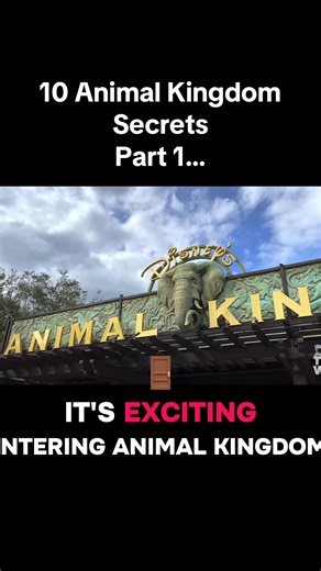 10 Secrets of Disney's Animal Kingdom Revealed
