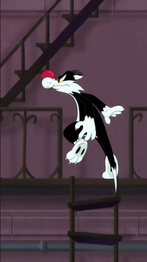 Une faim de chat 🐱 | Inédit | Bugs Bunny at the Symphony | 8/9 mai #GrandRex #Shorts ‪@boomerangFR‬