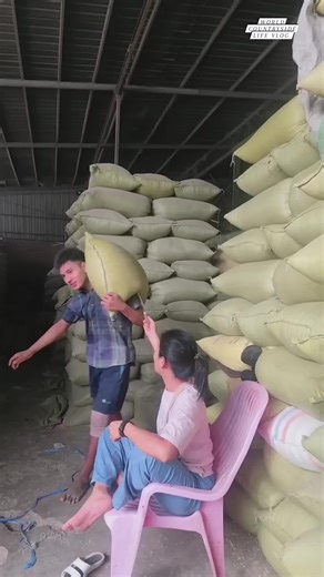 455K views · 2K reactions | Precision in every grain! The grain sampler tool, essential for quality control 勞 #worldcountrysidelifevlog #AgricultureTech #GrainInspection #FarmingTools DISCLAIMER NO COPYRIGHT INFRINGEMENT INTENDED | World Countryside Life Vlog | Facebook