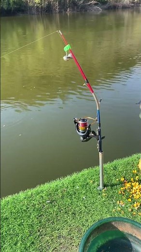 Cần câu cá tự động, câu cá lớn dễ dàng 😍 | Fishcamp Việt Nam #5 #fishing #carpfishing