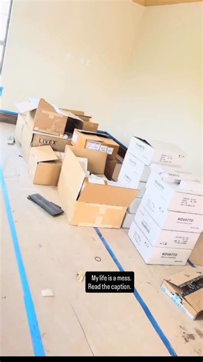 My life, like this house I’m building, is a huge mess. I’ve been badly abused by the enemy. Stolen from, lied about. It’s obvious to anyone with a brain- I did not illegally fire hardworking honest people just to ruin my giant lucrative company. Why would I do that? To steal one round of payroll that I held for legal reasons? I would have made about 5x more than that one payroll this year by keeping the business going. To end my ongoing monthly income to “steal payroll” is just hilarious. I didn