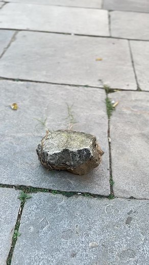 Try this Boys 😆😆😆new technique #bhutanbelieve #Bhutan #funnymemes #comedyvideos Pearl._.Gaming | Georgie Gyeltshen