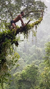 Bro really think he’s Mowgli 👀😅... #forest #trees #tarzan IG//tarzan_movement | Olima Omega