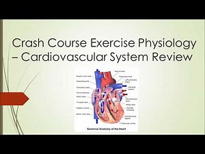 Exercise Physiology Crash Course - Episode 2 Cardiovascular Review
